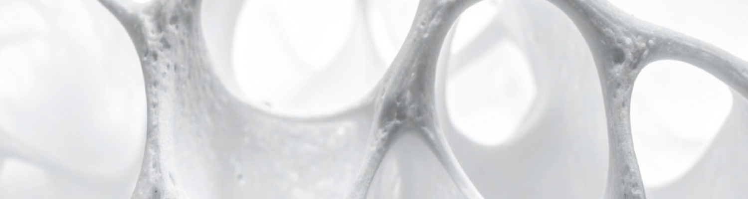 20251119 ortho 1500x400