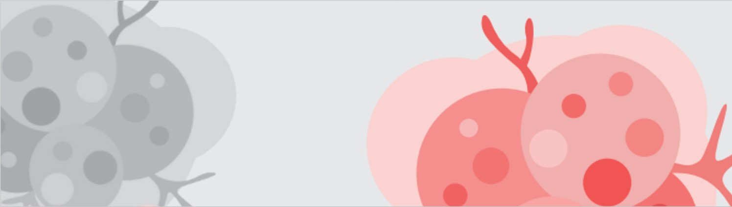 CIO Connect 1500x400px