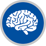 Icon Gehirn