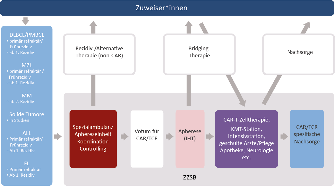 20220916 Behandlung Schaubild