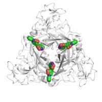 Ansatzpunkt für neue Schmerz- und Krebs-Medikamente